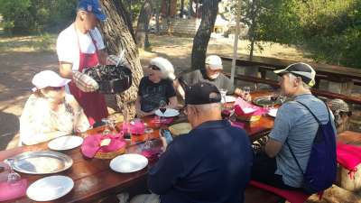 Oysters Mussels and Wine Tasting Tour from Dubrovnik