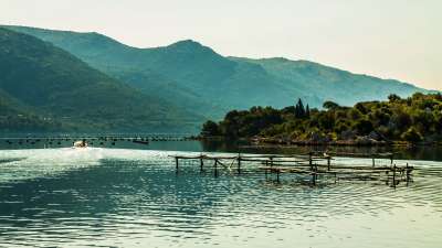 Mali Ston bay