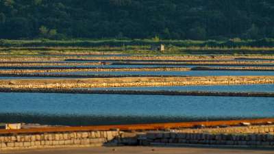 salt factory ston