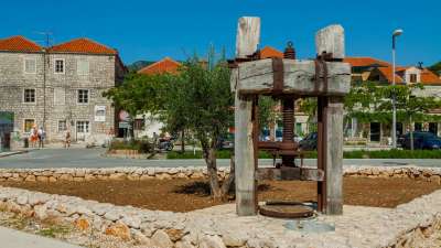 Tool for olive oil production